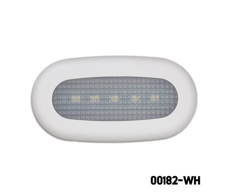 AAA - LED COURTESY LIGHT (SM)